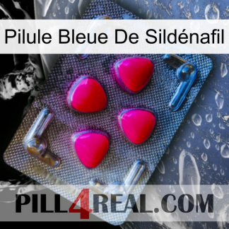 Pilule Bleue De Sildénafil 13